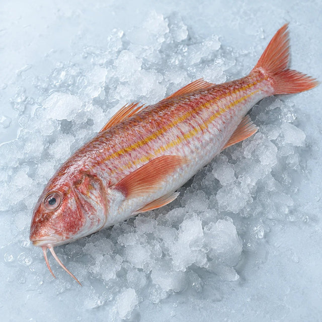 Red Mullet, From The Sea
