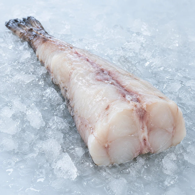 Monkfish Tail, From The Sea