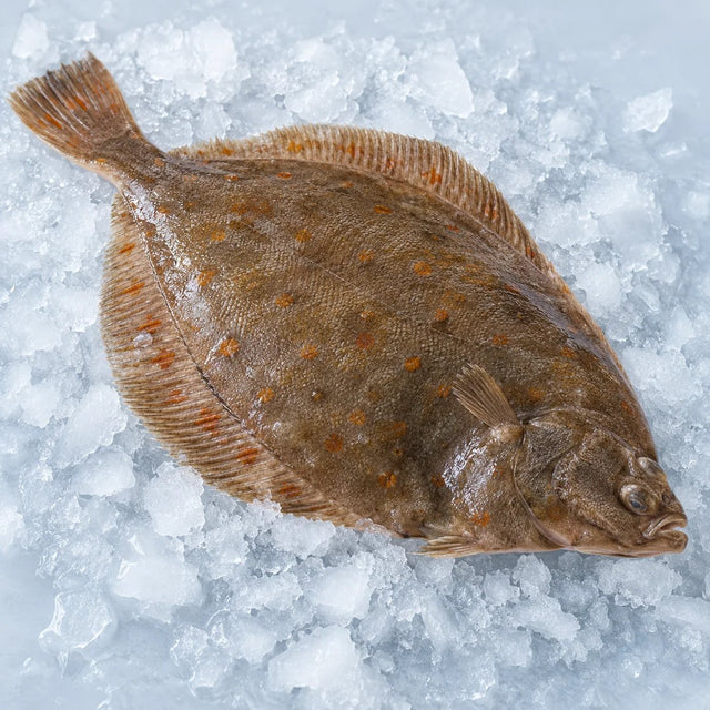 Plaice, From The Sea