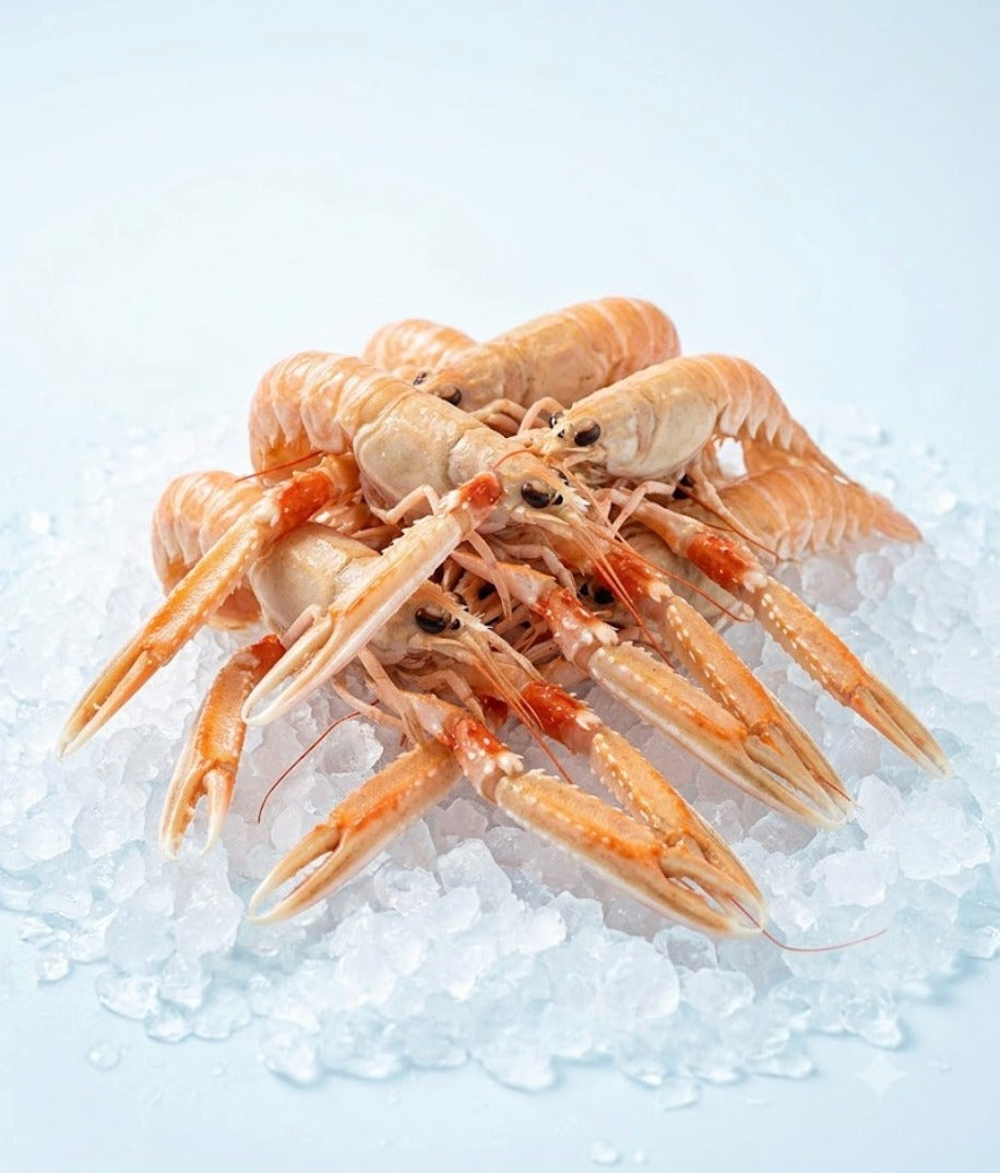 Langoustines on crushed ice