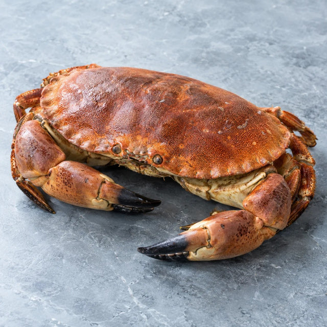 Whole Cooked Brown Crab, From The Sea