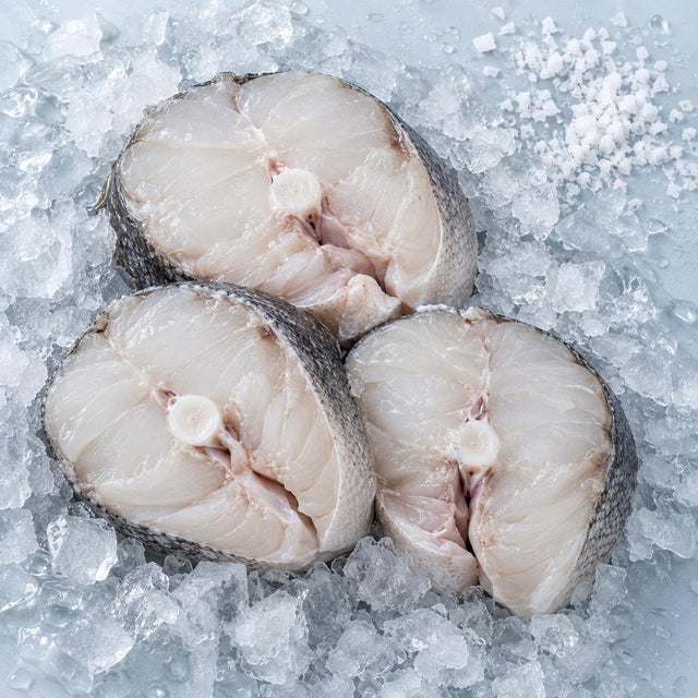 Hake, From The Sea