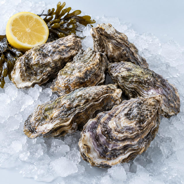 Rock Oysters, From The Sea