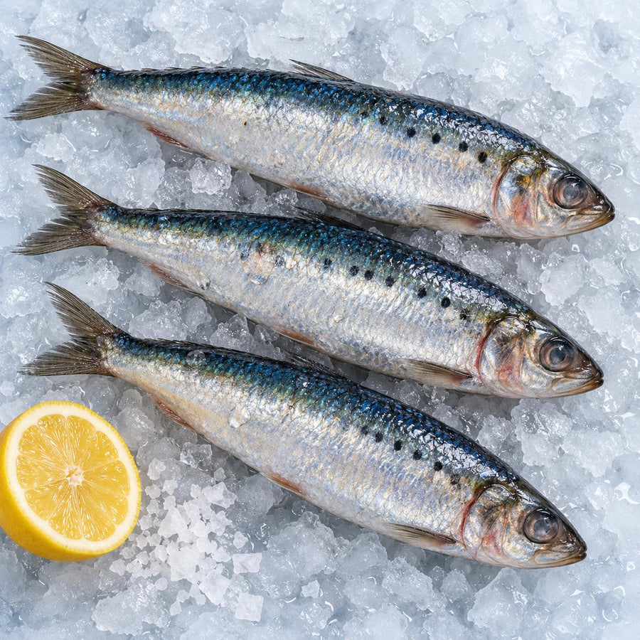 Three whole raw sardines on crushed ice with half a lemon and flaked sea salt