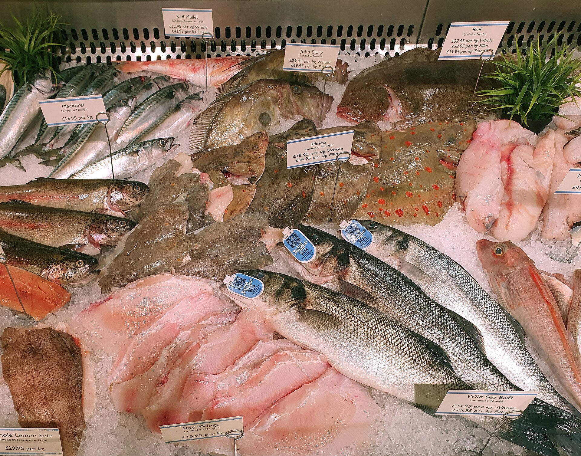 Fresh fish and fillets on ice at a fish counter in Cornwall