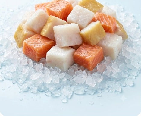Cubes of white and salmon-coloured fish on crushed ice