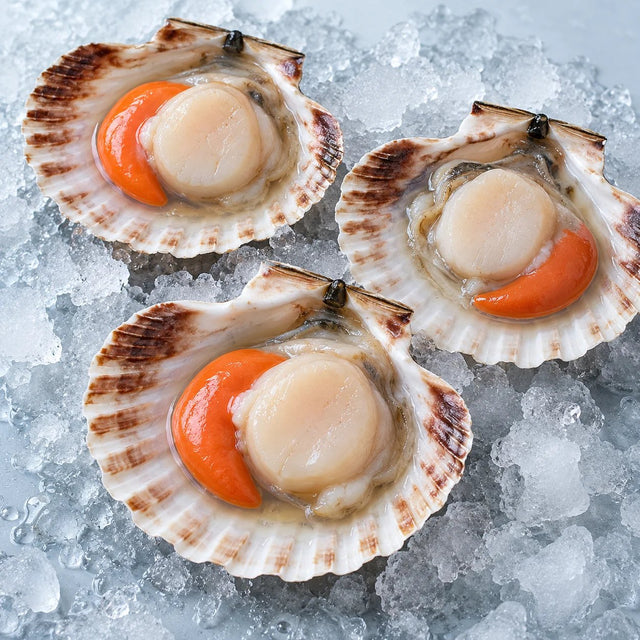 Scallops (In-Shell), From The Sea