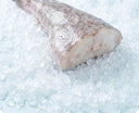 Monkfish tail, trimmed, on crushed ice
