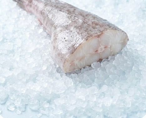 Monkfish tail, trimmed, on crushed ice