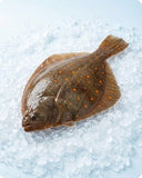 Whole plaice on crushed ice
