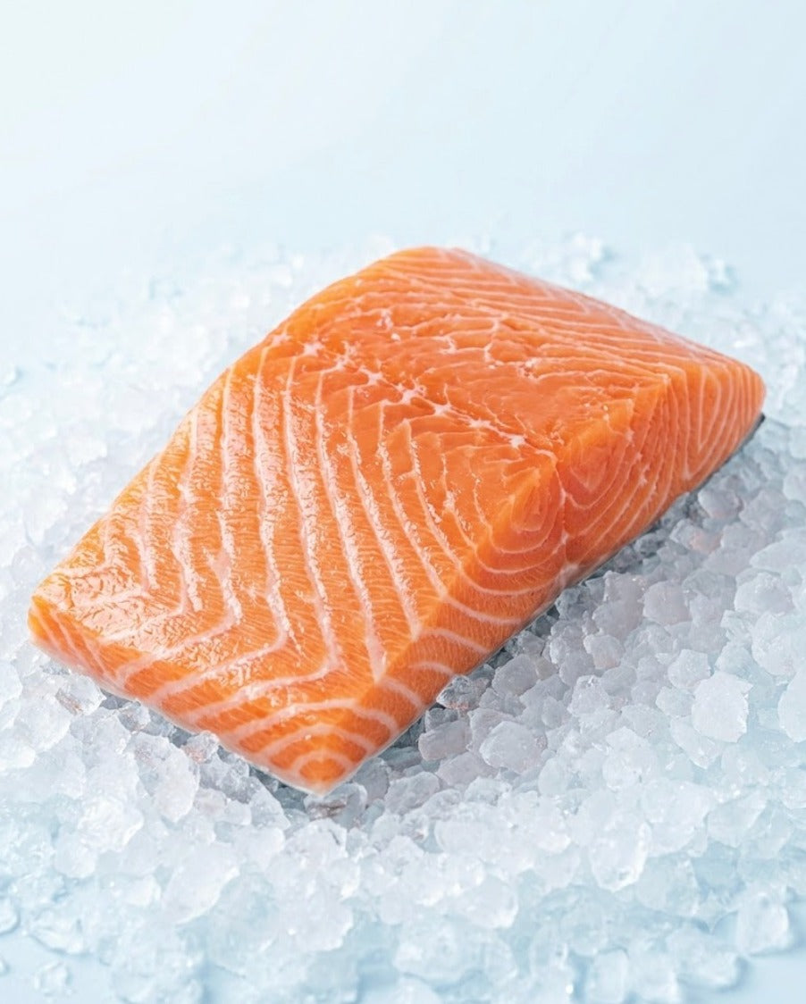 Salmon fillet on crushed ice