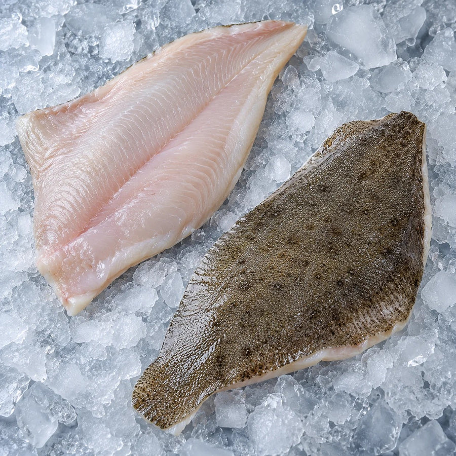 A raw skinless brill fillet beside a whole brill on crushed ice