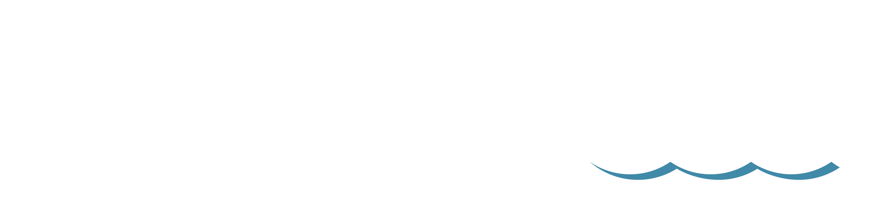 From The Sea logo white with blue wave