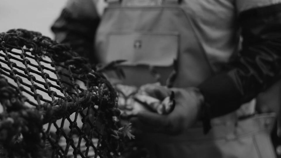 Black and white photograph of whole fish chosen by eye