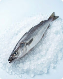 Whole hake on crushed ice