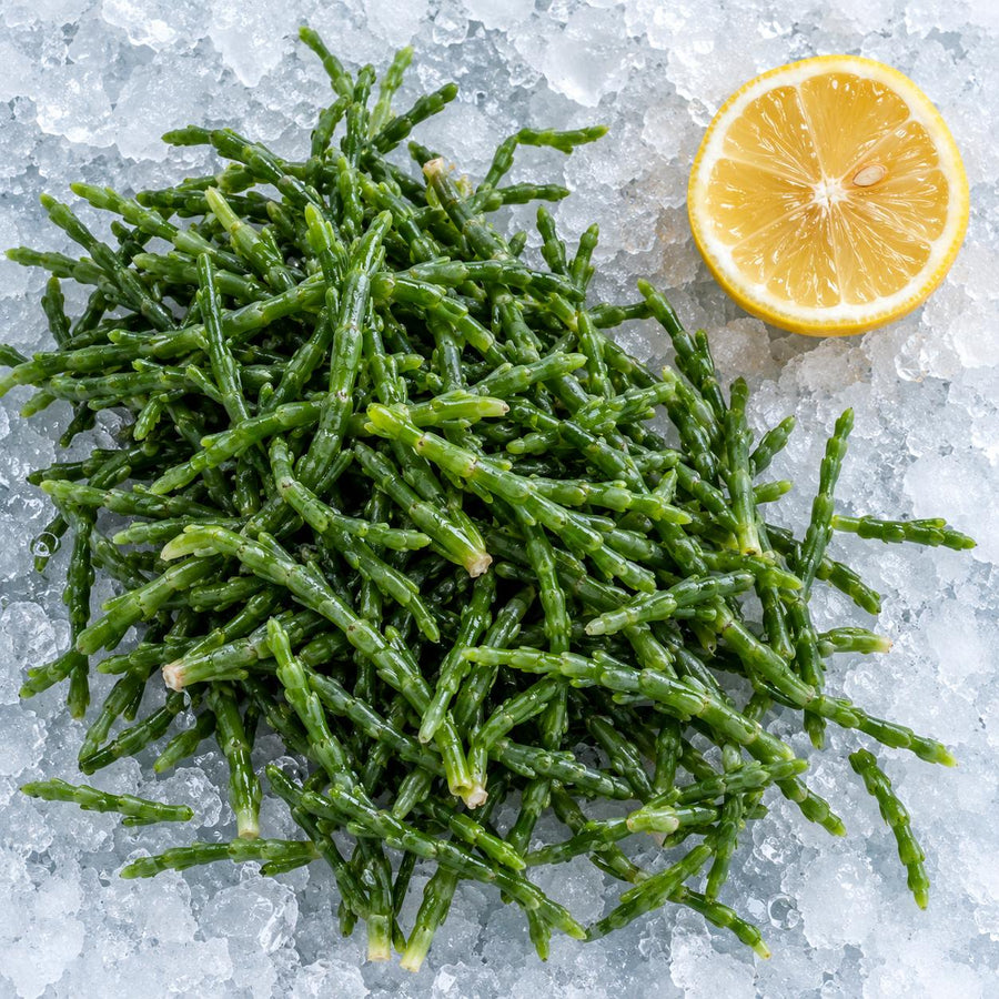 Fresh marsh samphire heaped on crushed ice with half a lemon