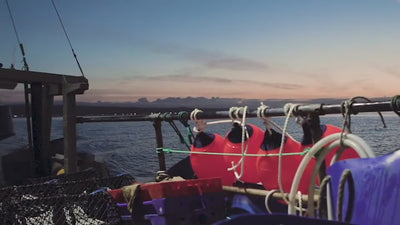 A crabber leaving harbour before dawn and working at sea as the sky lightens