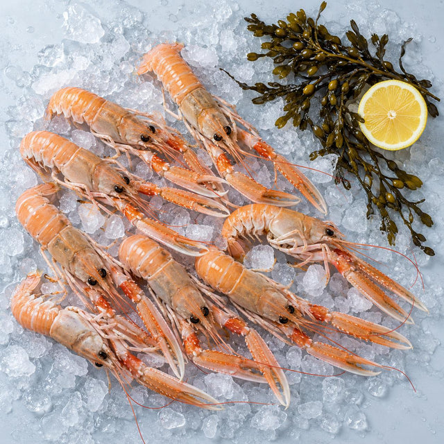 Langoustine, From The Sea