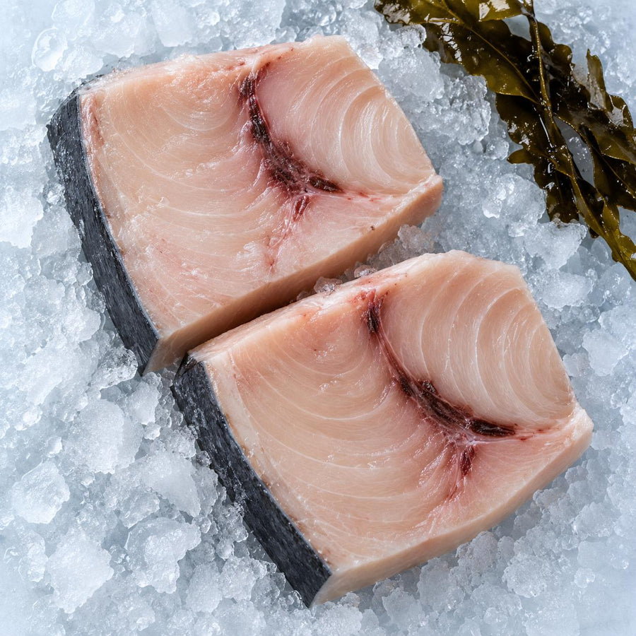 Two raw skin-on swordfish steaks on crushed ice with a sprig of bladderwrack seaweed