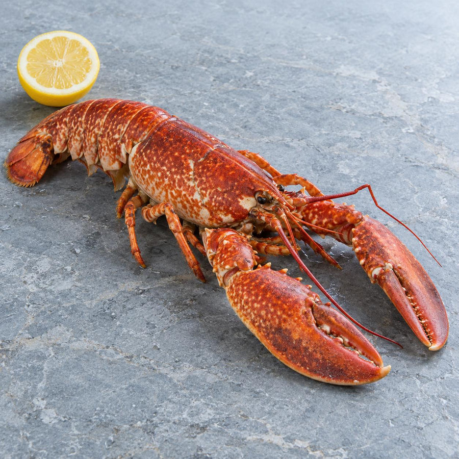 A whole cooked native lobster on a grey stone slab with half a lemon