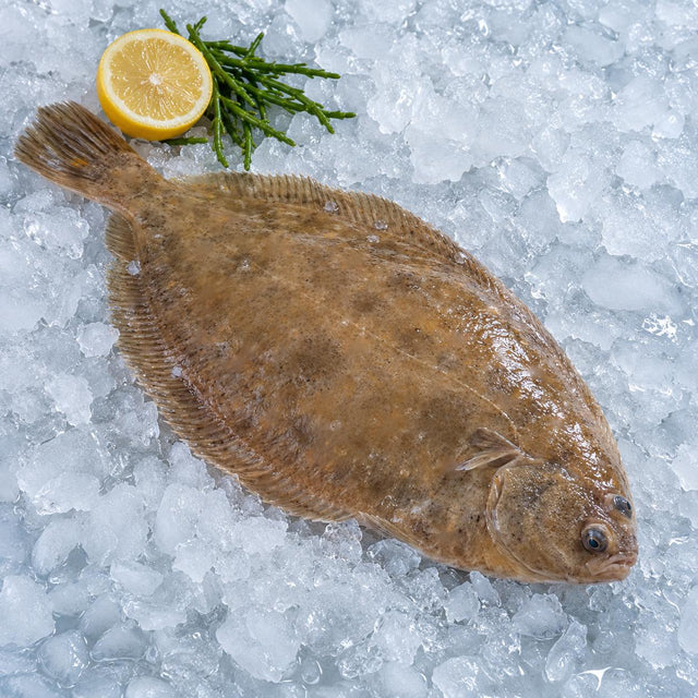 Lemon Sole, From The Sea