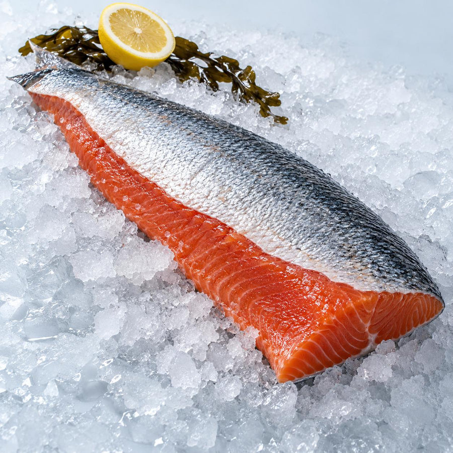 A raw skin-on wild salmon fillet on crushed ice with bladderwrack seaweed and half a lemon